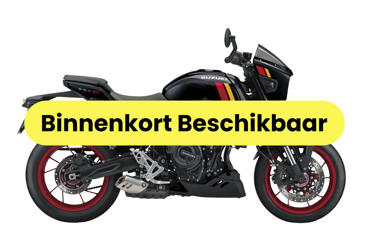 Suzuki SV 7 GX